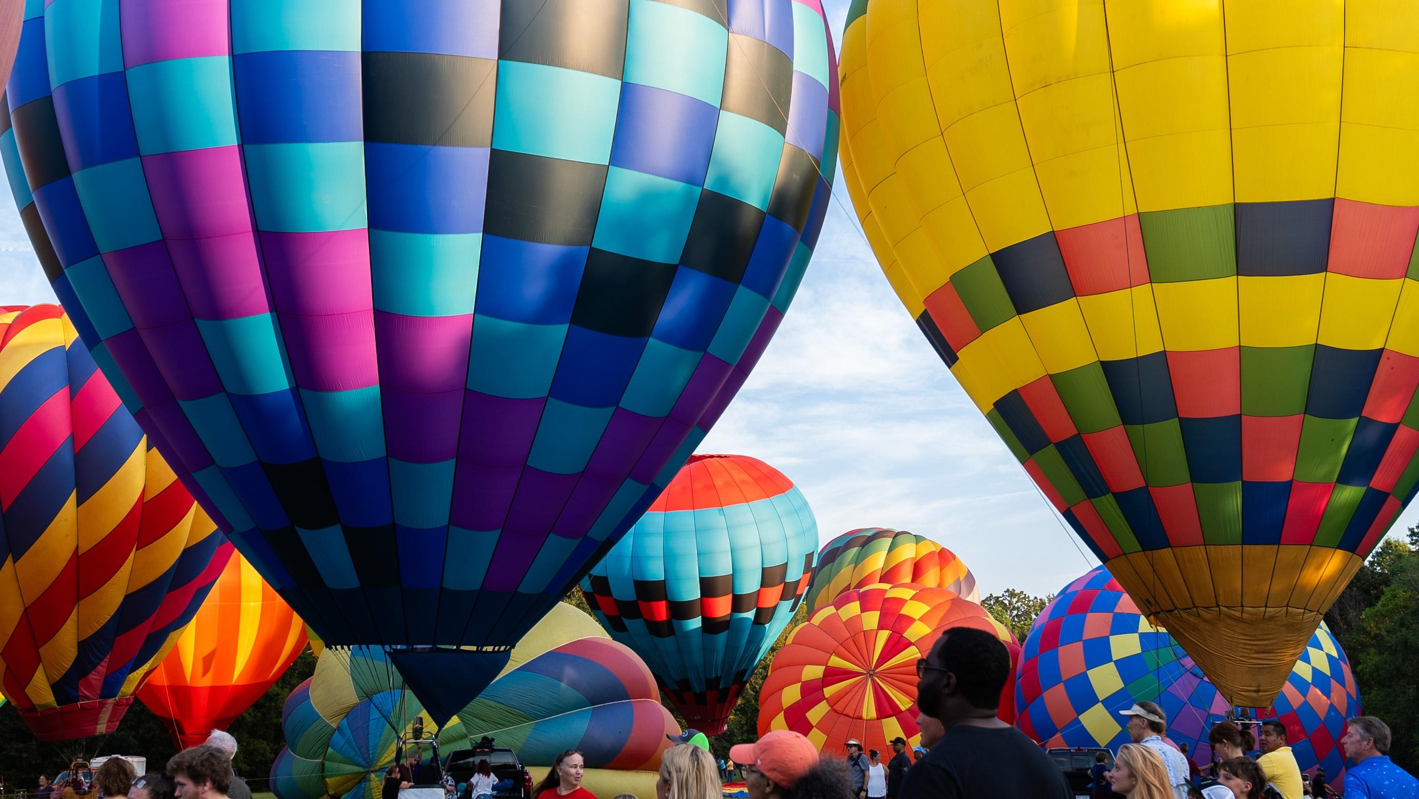 Many colorful hot air balloons.