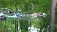 Fishing Lake St. Clair, Fish Art, Water Races
