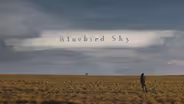 Bluebird Sky