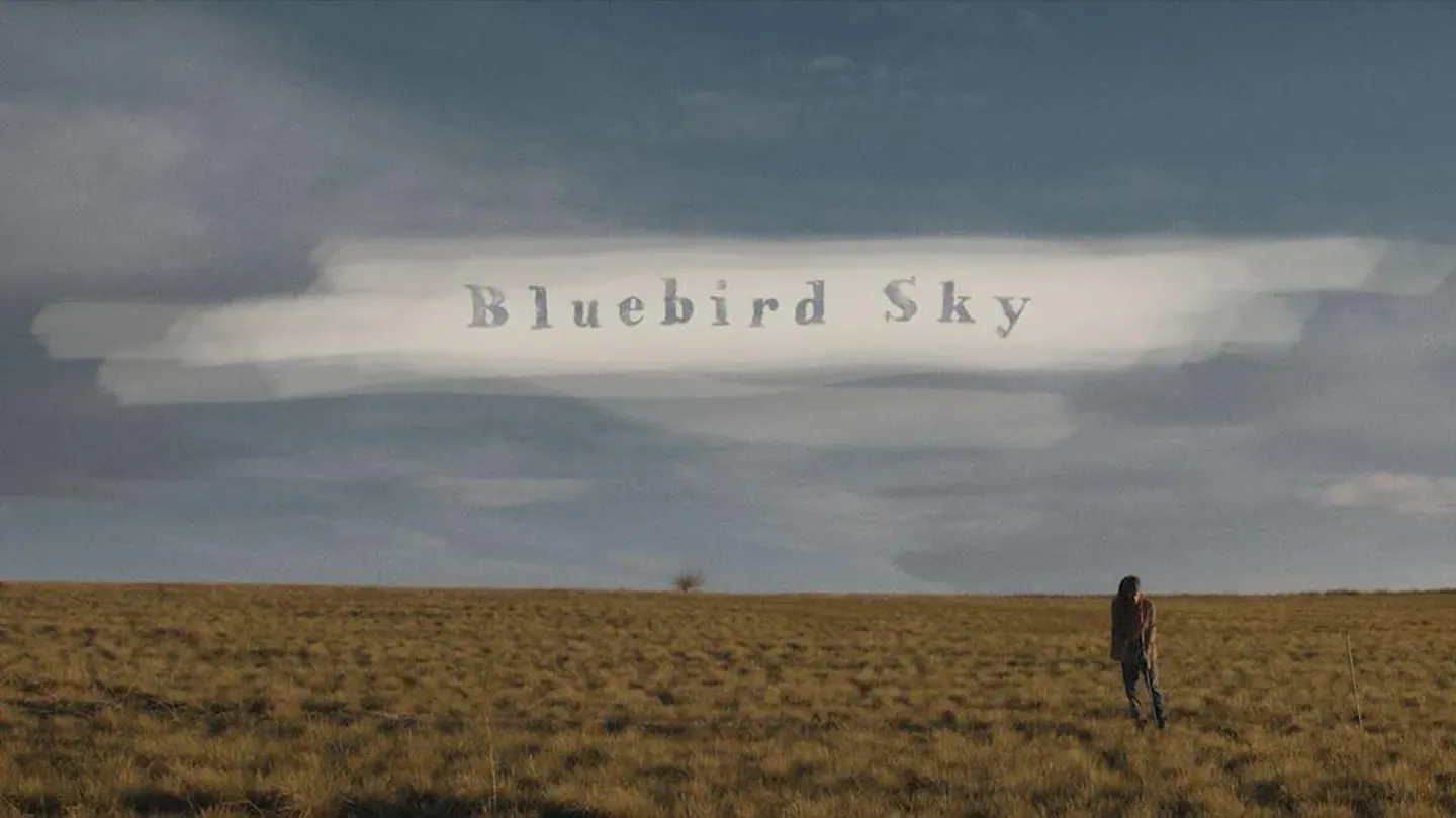 Bluebird Sky