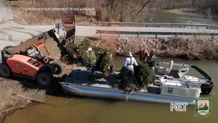 Christmas for the Fishes