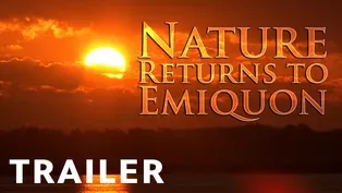 Nature Returns to Emiquon | Trailer