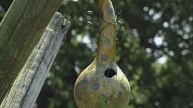 Video thumbnail: The Wisconsin Gardener Gourds, Ponds and Herbs