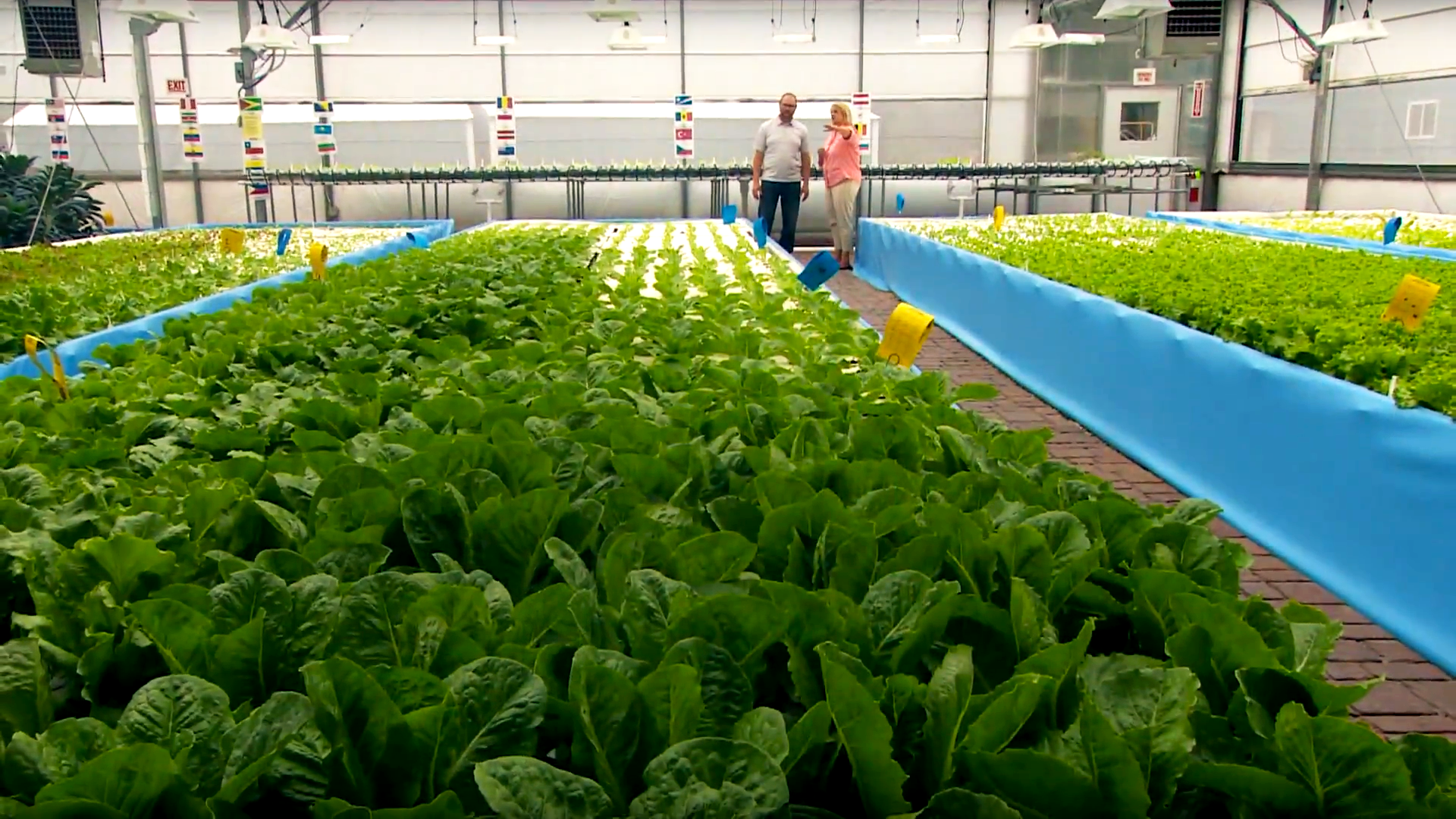 Outdoor Wisconsin #3503 - Aquaculture Production/Kayaking