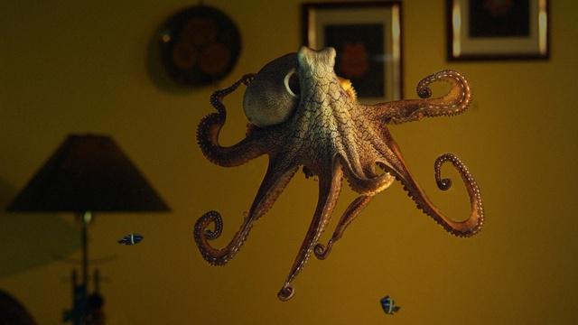 Nature | Octopus: Making Contact Preview