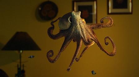 Octopus: Making Contact Preview