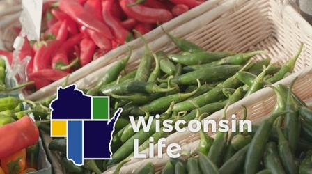 Video thumbnail: Wisconsin Life Badger State Bounties