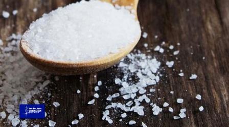 Video thumbnail: You Bet Your Garden You Bet Your Garden Ep. 150 Epsom Salt