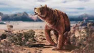 The Mystery Behind the Biggest Bears of All Time