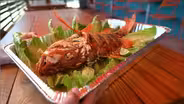 Fresh Florida Fisheries