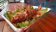 Fresh Florida Fisheries