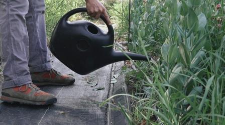Video thumbnail: Colorado Voices Water cremation creates life after death