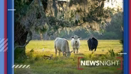 Central Florida Voters Back Protections for Rural Land