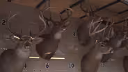 Turn In Poachers