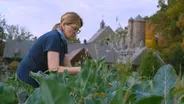 SUSTAINABLE FARMING