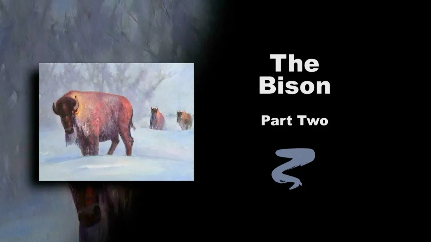 The Bison Part II