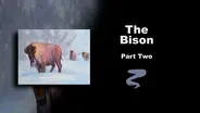 The Bison Part II