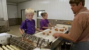 Iowa’s Specialty Egg Producers