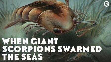 Video thumbnail: Eons When Giant Scorpions Swarmed the Seas