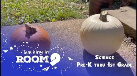 Video thumbnail: Teaching in Room 9 Pumpkin Science | PreK Science