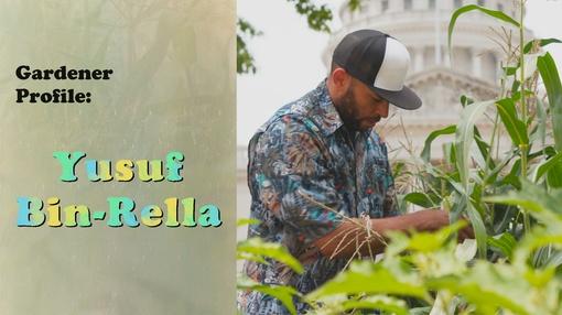 Let's Grow Stuff : Gardener Profile: Yusuf Bin-Rella