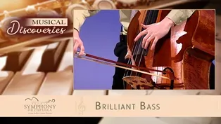 S05 E02: Brilliant Bass