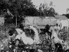 Fannie Lou Hamer's America | A Childhood in Mississippi