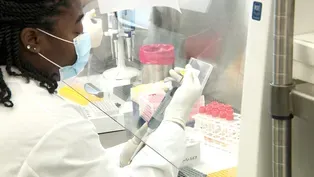 NJ scientists researching the spread of bird flu