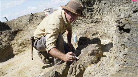 New Fossil May Reveal Clues to Dinosaurs' Final Days
