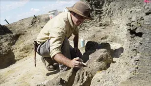 New Fossil May Reveal Clues to Dinosaurs' Final Days