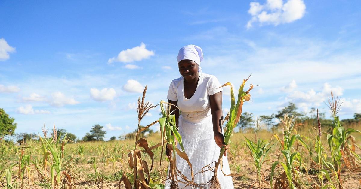 PBS News Hour | Extreme drought plunges southern Africa into hunger crisis | Season 2024