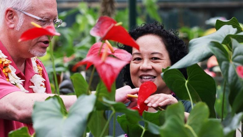 J Schwanke’s Life In Bloom Image