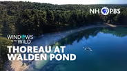 Thoreau At Walden Pond