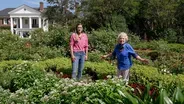 Boone Hall and The McGill Rose Garden