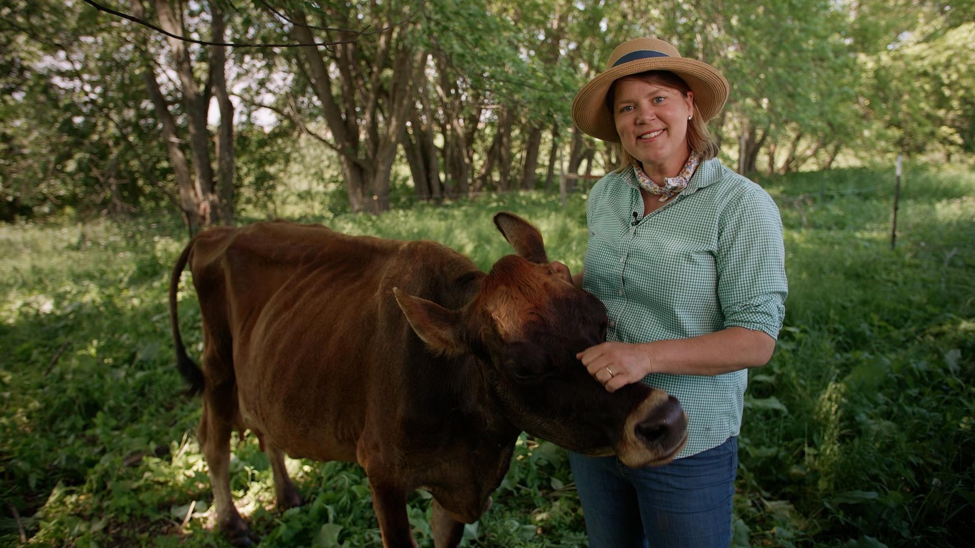 Around the Farm Table' celebrates National Dairy Month - PBS Wisconsin