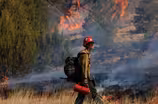 New Mexico wildfires leave devastation amid historic drought