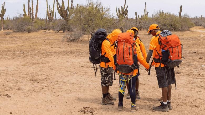 The Survivalists Image