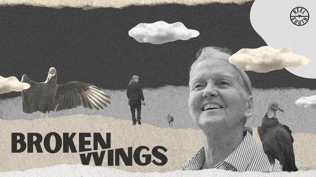 Broken Wings | Preview