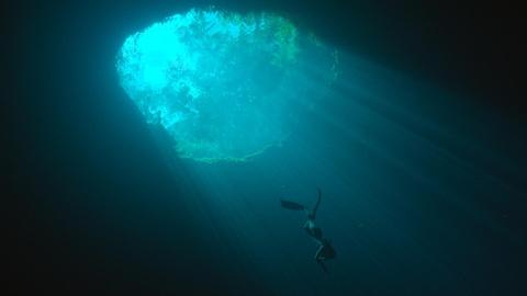 H2O: The Molecule That Made Us - Preview