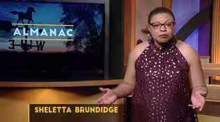 A Sheletta Brundidge Essay