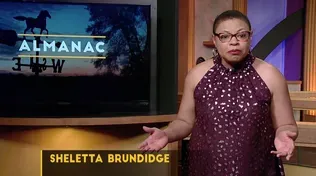 A Sheletta Brundidge Essay