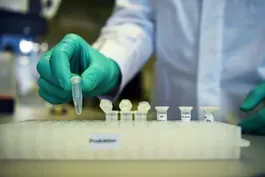 News Wrap: DOJ says hackers targeting U.S. vaccine research