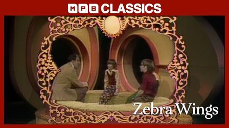 Video thumbnail: MPB Classics Zebra Wings: Humor, I (1974)