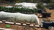 You Bet Your Garden Ep: 38