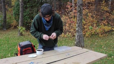 Video thumbnail: The Slice The Reel Draw of Fishing