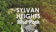 Let Us Take You There: Sylvan Heights Bird Park