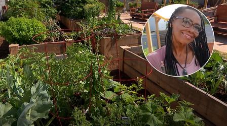 Video thumbnail: Central Texas Gardener Growing Community with Gardens: Harvé Franks