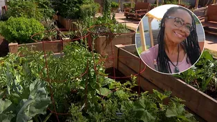 Growing Community with Gardens: Harvé Franks