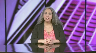 Lylah Alphonse Commentary on Roe v. Wade