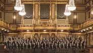 Strauss' "The Beautiful Blue Danube"